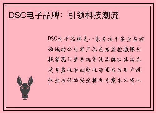 DSC电子品牌：引领科技潮流